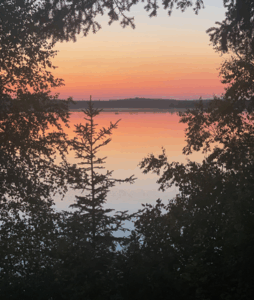 pine cove img4